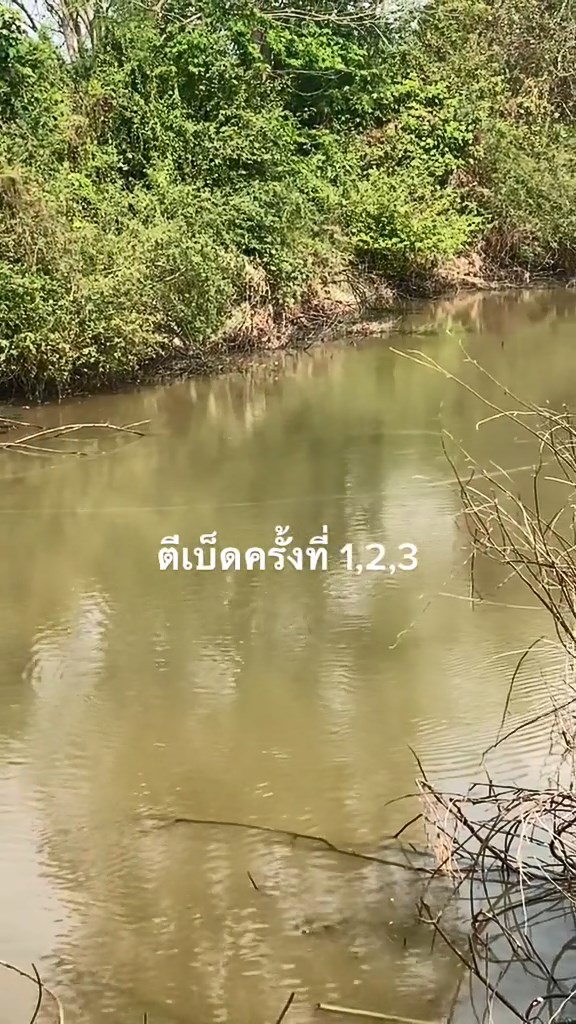 ตกปลากแก้ มส